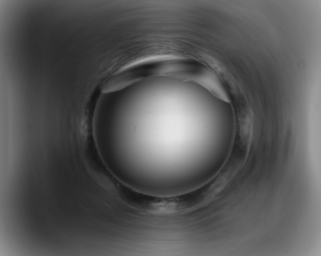 X0000090720362200707201353