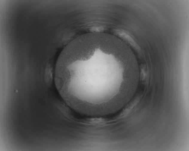 X0000090720363200707201353