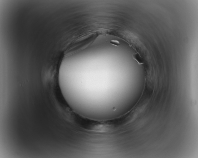 X0000090720364200707201353
