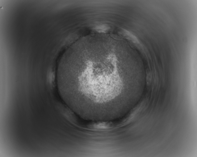 X0000090720365200707201353