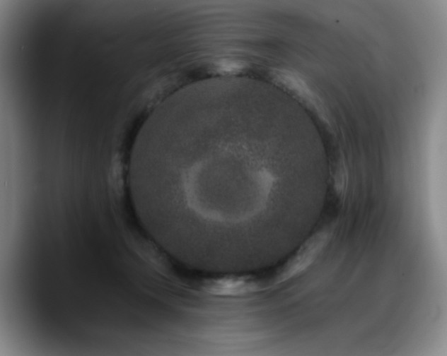 X0000090720366200707201353