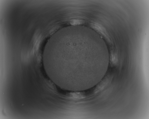 X0000090720367200707201353