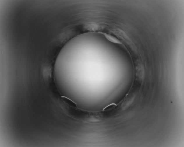 X0000090720368200707201353