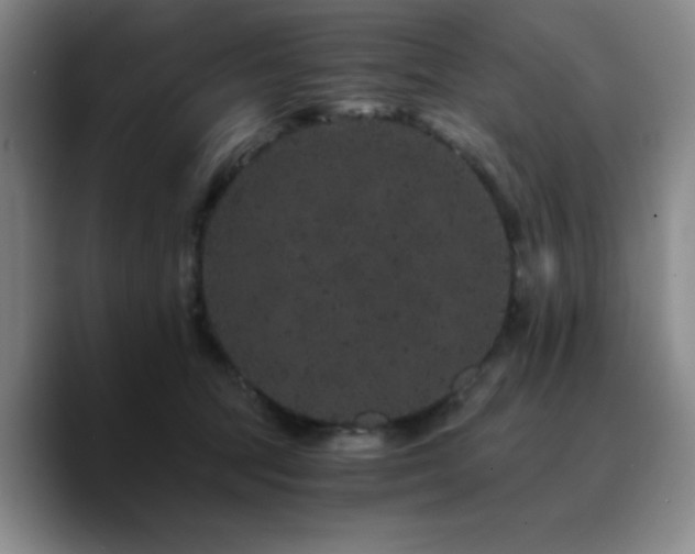 X0000090720369200707201353