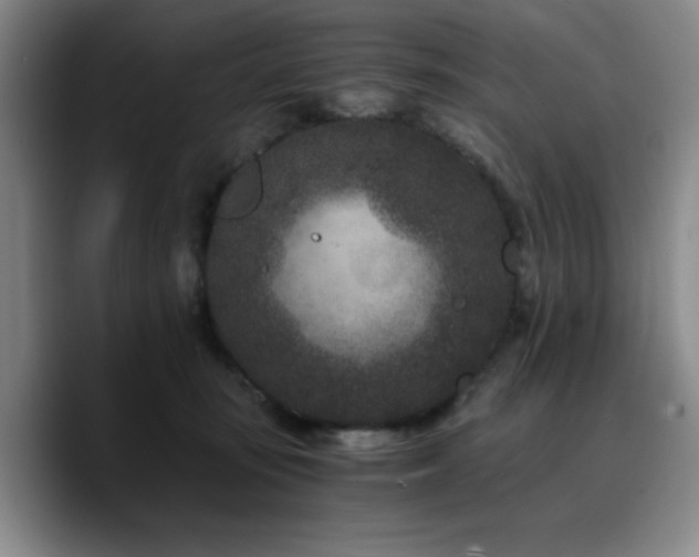 X0000090720371200707201353