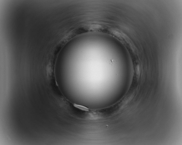 X0000090720372200707201353