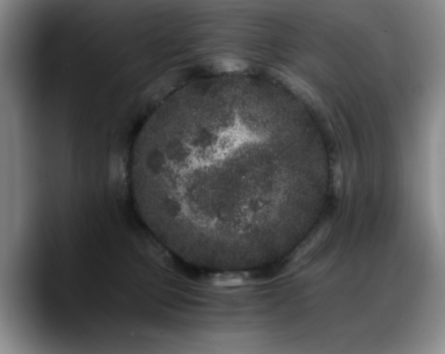 X0000090720373200707201353