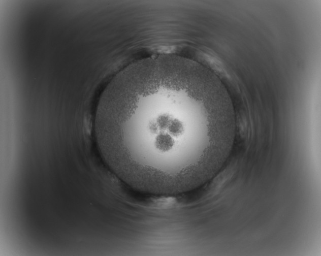 X0000090720374200707201353