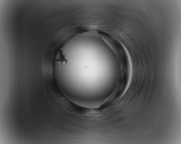 X0000090720380200707201353