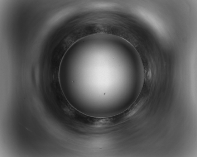 X0000090720382200707201353
