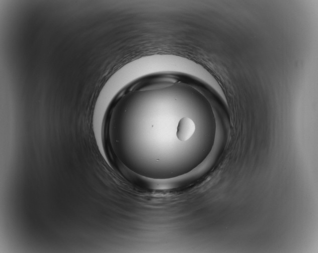 X0000090720384200707201353