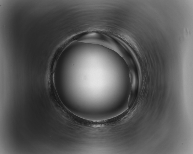 X0000090720388200707201353