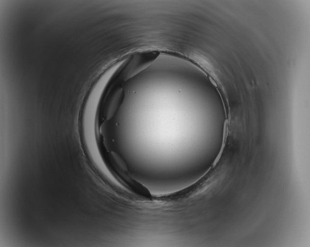 X0000090720389200707201352