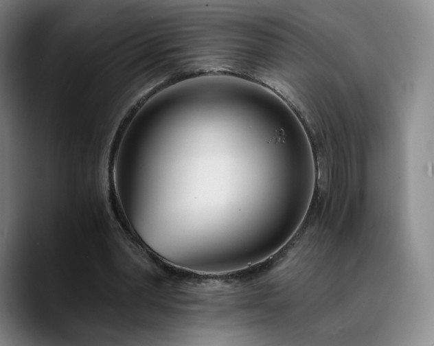 X0000090720390200707201352