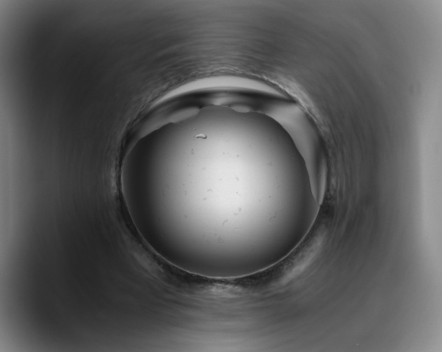 X0000090720393200707201352
