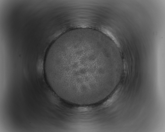 X0000090720394200707201352
