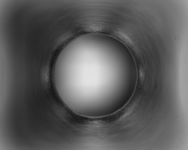X0000090720396200707201352