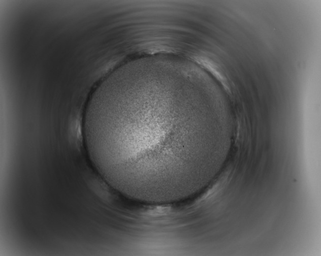 X0000090720398200707201352