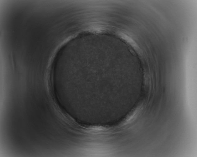 X0000090720399200707201352