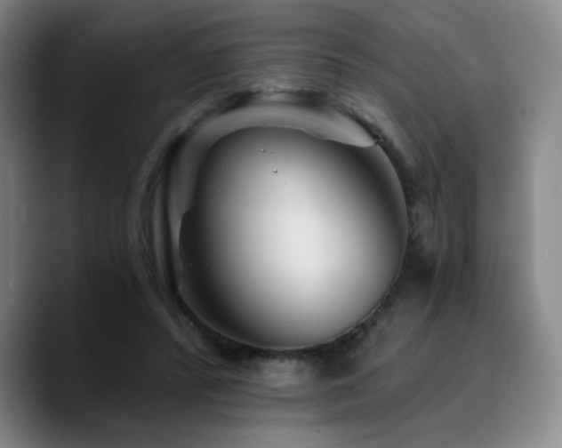 X0000090720400200707201352