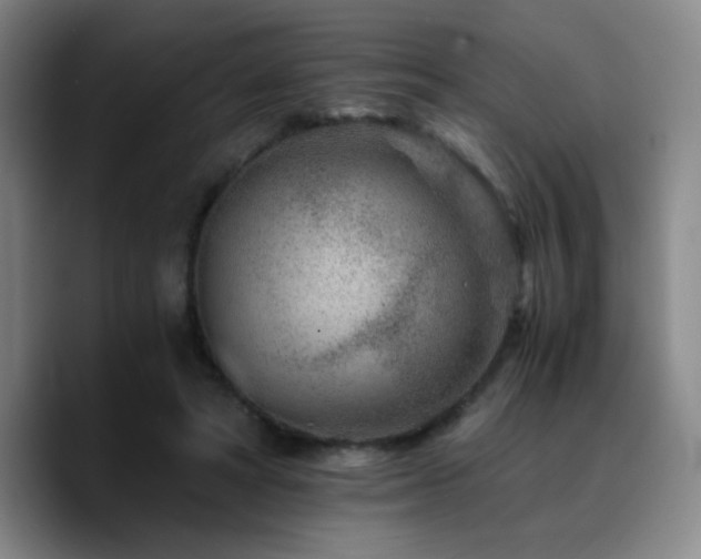 X0000090720402200707201352