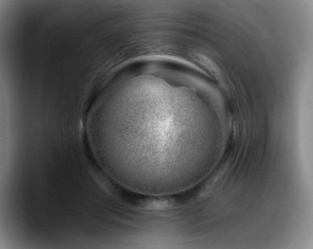 X0000090720405200707201352