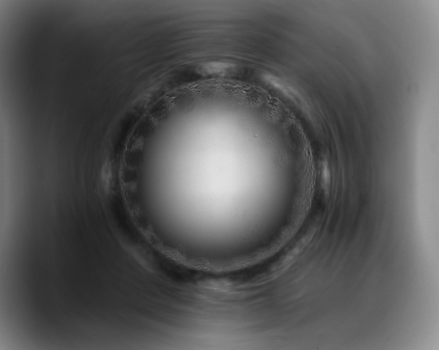 X0000090720408200707201352