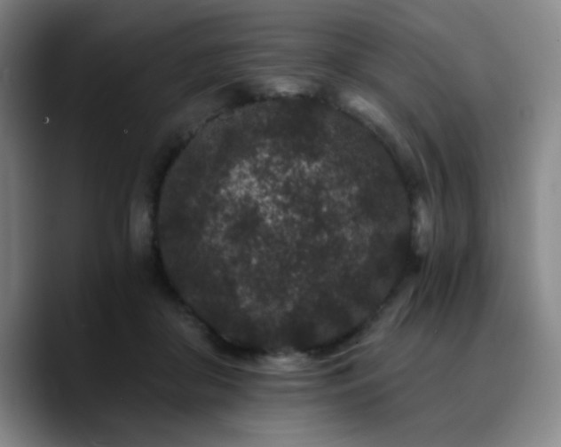 X0000090720410200707201352