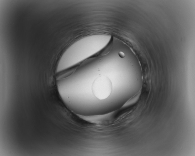 X0000090720411200707201352