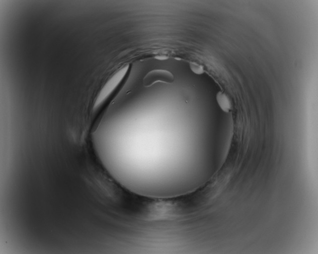 X0000090720413200707201352