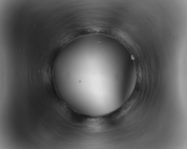 X0000090720414200707201352