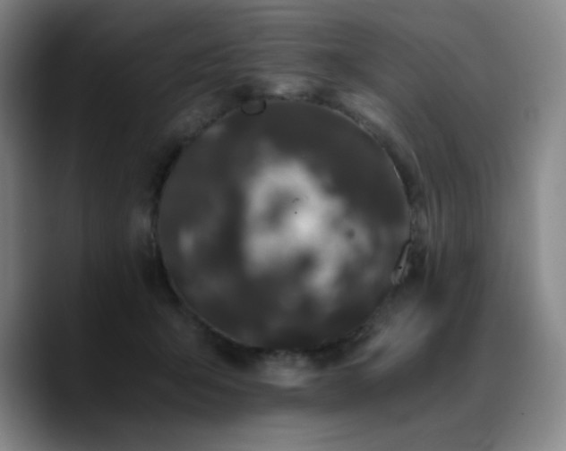 X0000090720415200707201352