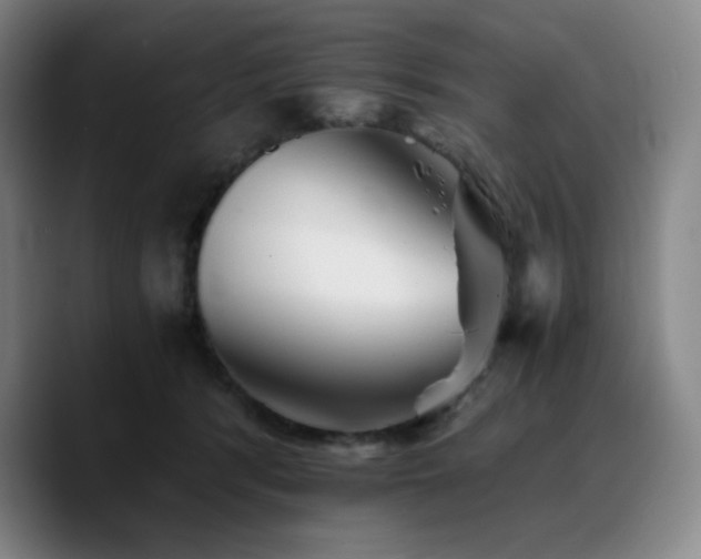 X0000090720416200707201352