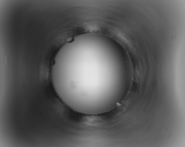 X0000090720417200707201352