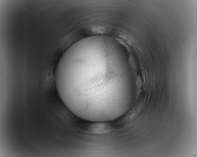 X0000090720418200707201352