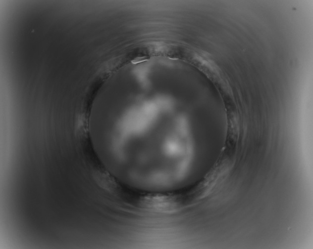 X0000090720419200707201352