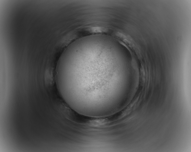 X0000090720422200707201352