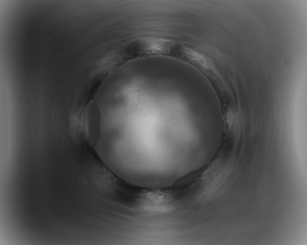 X0000090720423200707201352