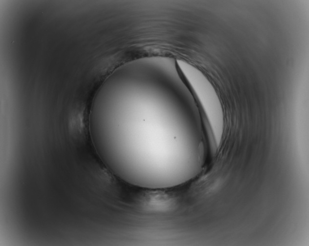 X0000090720424200707201352