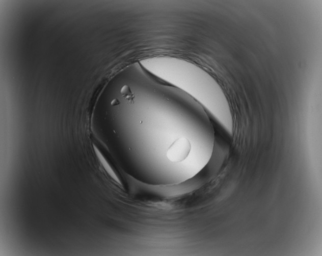 X0000090720425200707201352