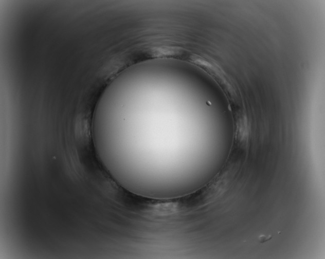 X0000090720426200707201352