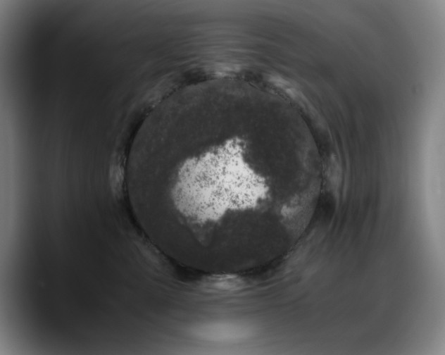 X0000090720427200707201352