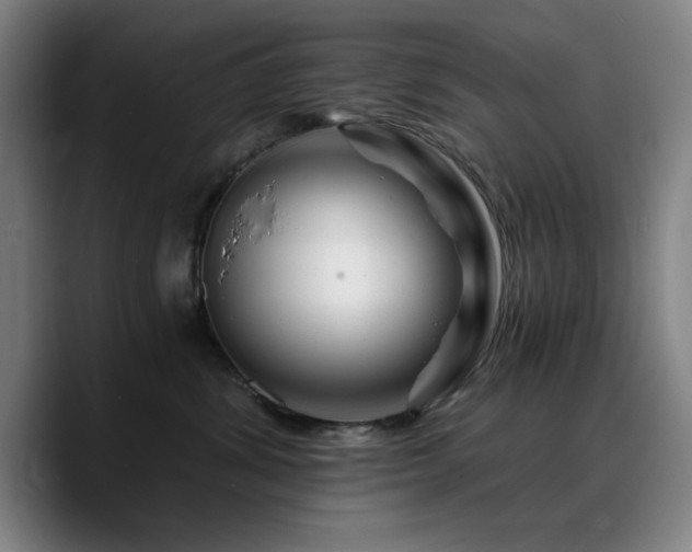 X0000090720428200707201352