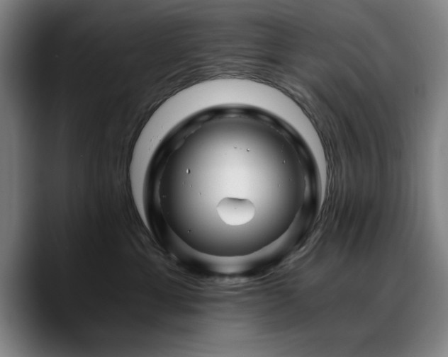 X0000090720429200707201352