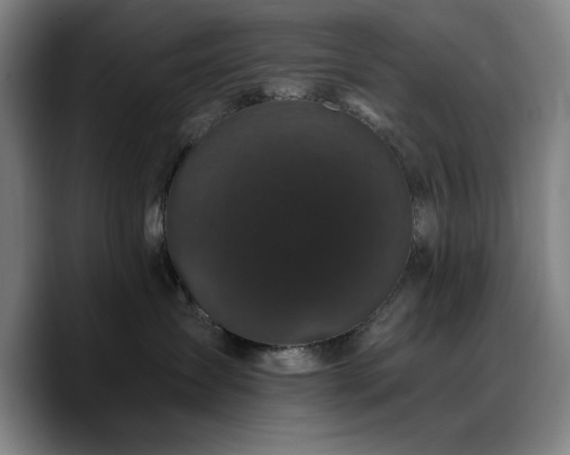 X0000090720431200707201352