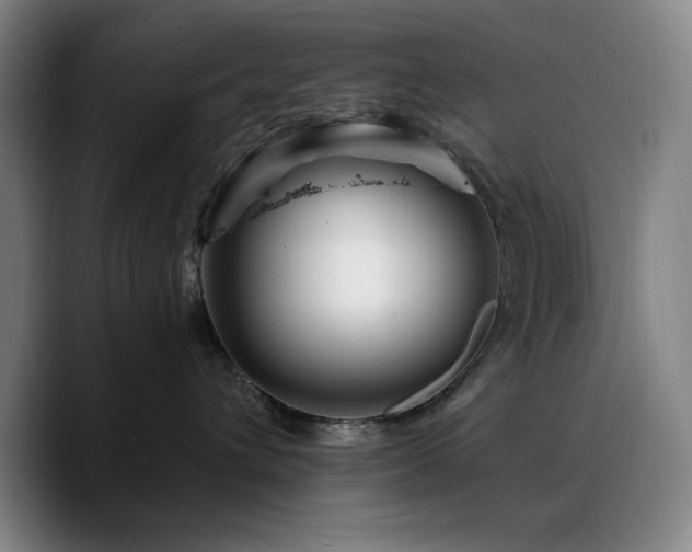 X0000090720432200707201352