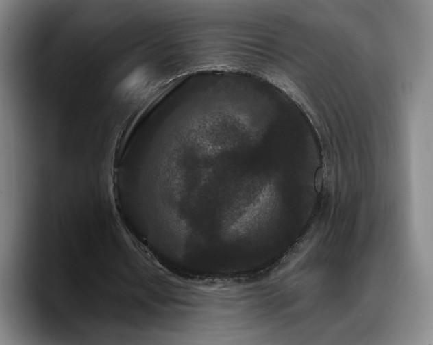 X0000090720434200707201351