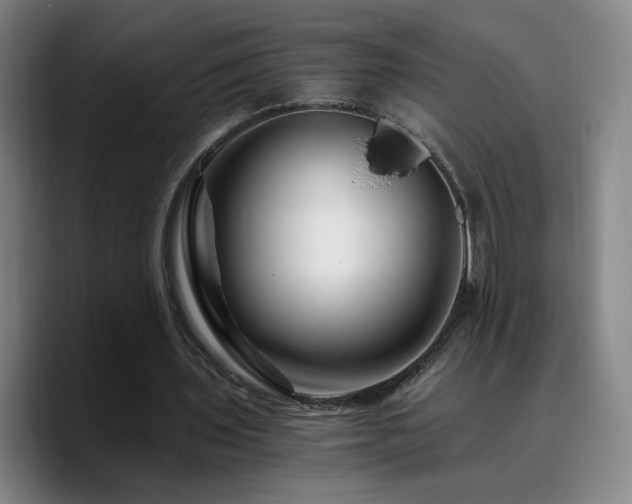 X0000090720435200707201351
