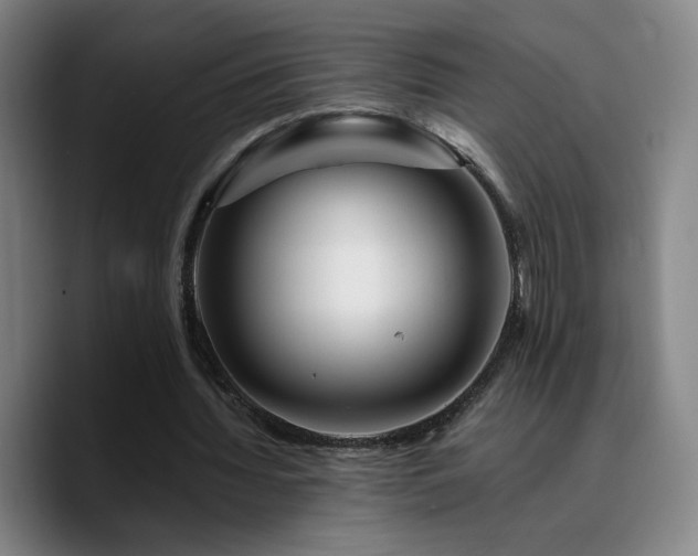 X0000090720436200707201351