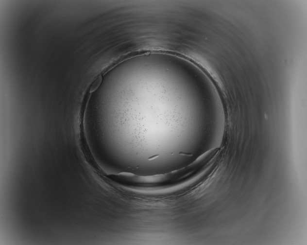 X0000090720437200707201351